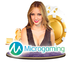 micro gaming plus